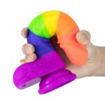 7.48 Inch Silicone Realistic Rainbow Dildo with Suction Cup for Men Women & Couples