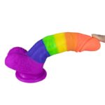 7.48 Inch Silicone Realistic Rainbow Dildo with Suction Cup for Men Women & Couples